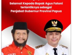 HYU Sentil PDIP: Jangan Salahkan Pemerintah Atas Pilkada Ulang di Papua
