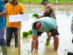 Cetak Sawah Rakyat Dimulai di Grime Nawa, Matius D. Fakhiri Serahkan Traktor untuk Dorong Produktivitas Petani